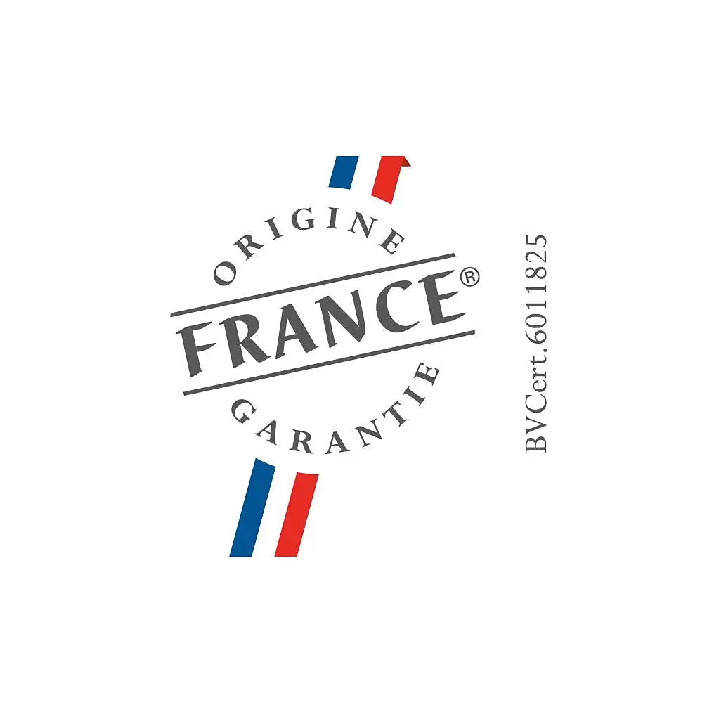 Four encastrable BRANDT BOP7534B DN ELECTRO