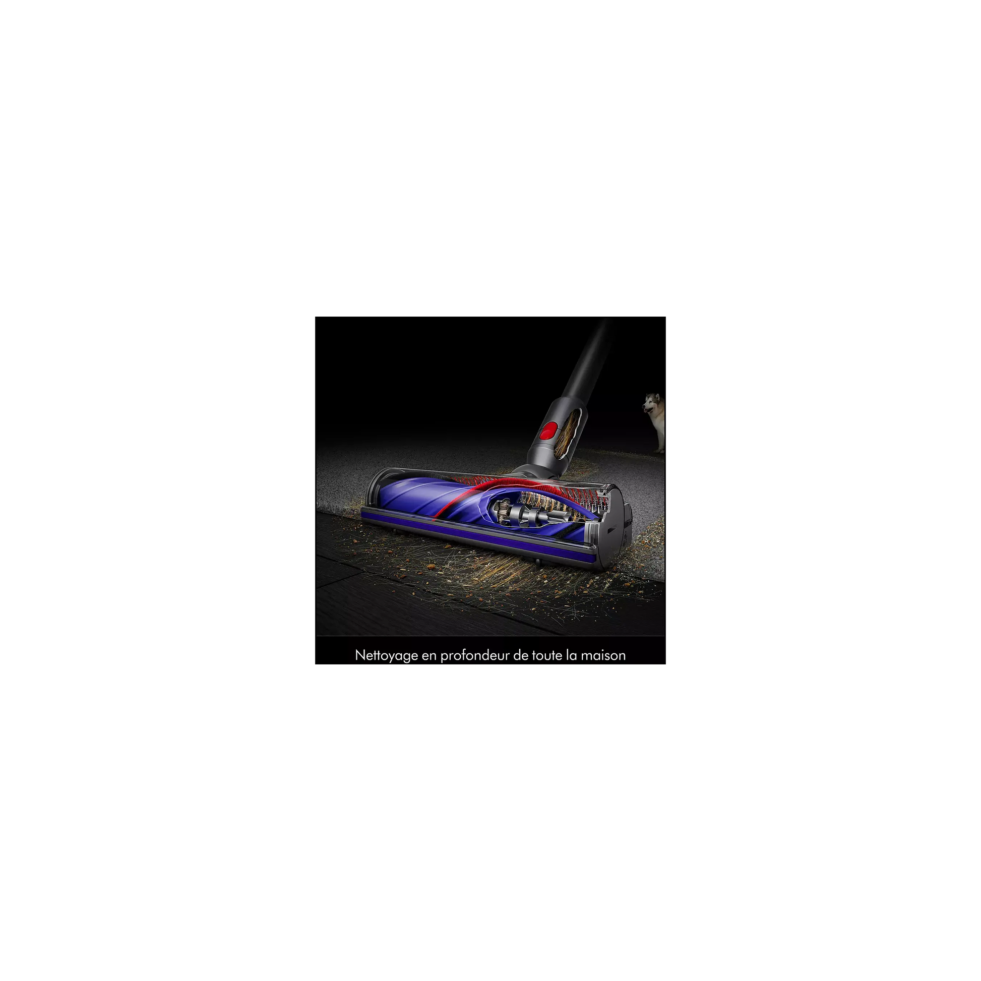 Aspirateur balai DYSON Cyclone V10 Submarine DUMANOIR