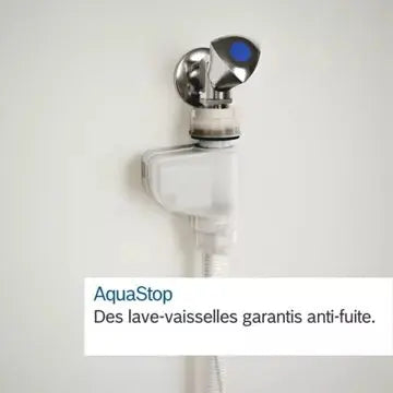 Lave vaisselle 60 cm	BOSCH	SMS2ITW46E Serenity Serie 2