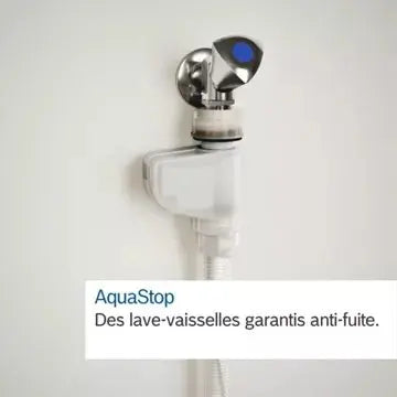 Lave vaisselle encastrable BOSCH	SPV6YMX08F